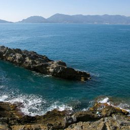 La costiera marittima di Tellaro 3